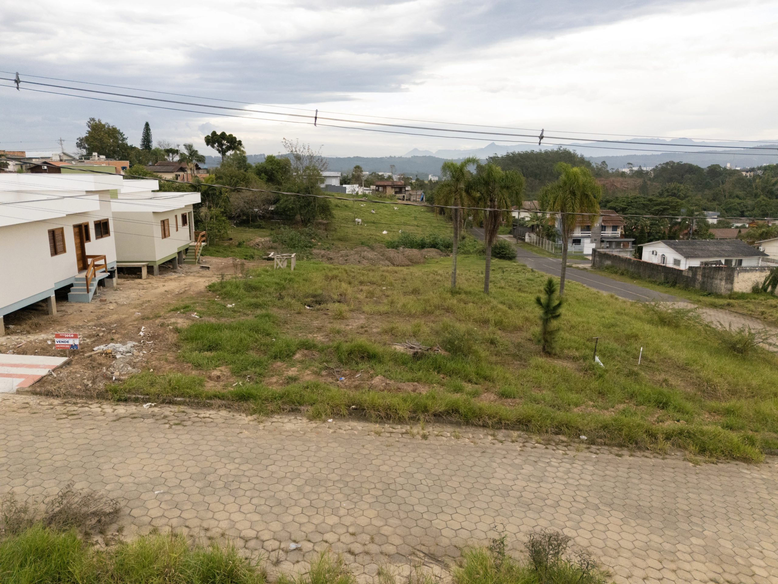 TERRENO-A-VENDA-FLORESTA-3