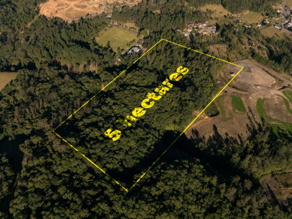 Sítio com Vista para a Serra em Treviso – 5 Hectares
