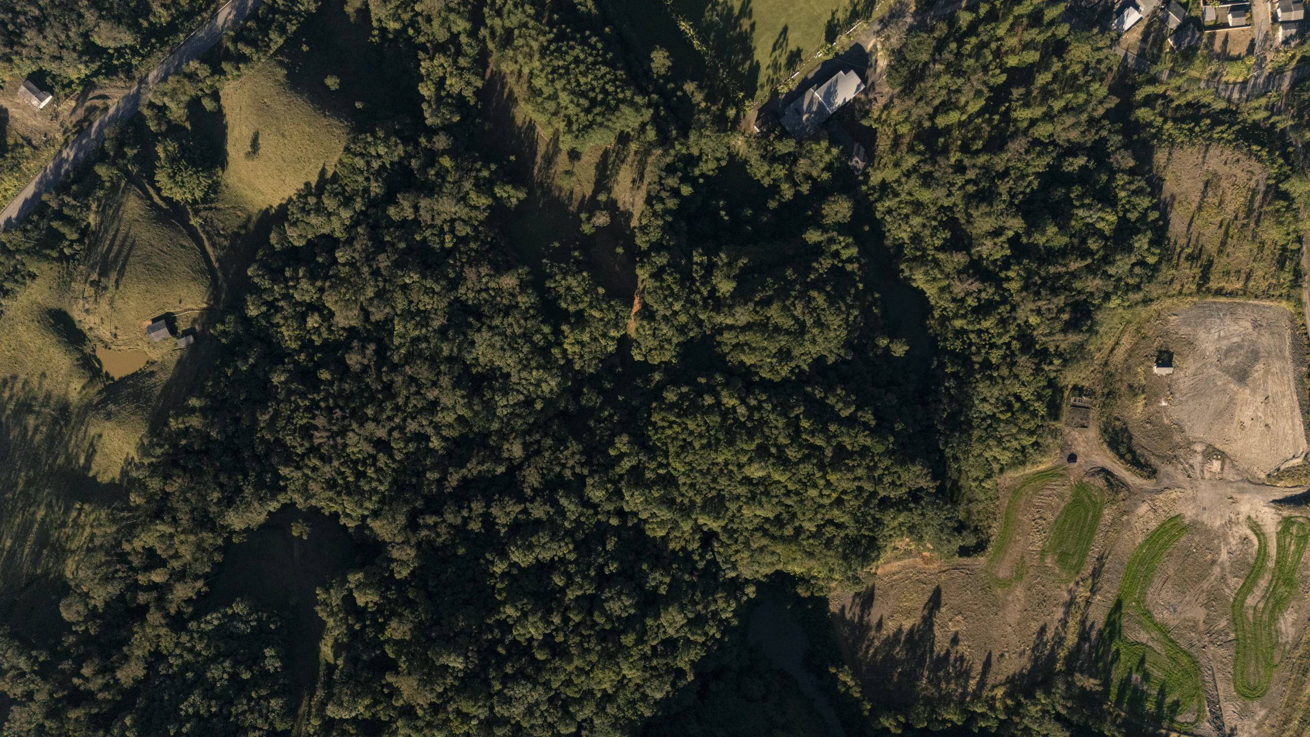 Sítio com Vista para a Serra em Treviso – 5 Hectares